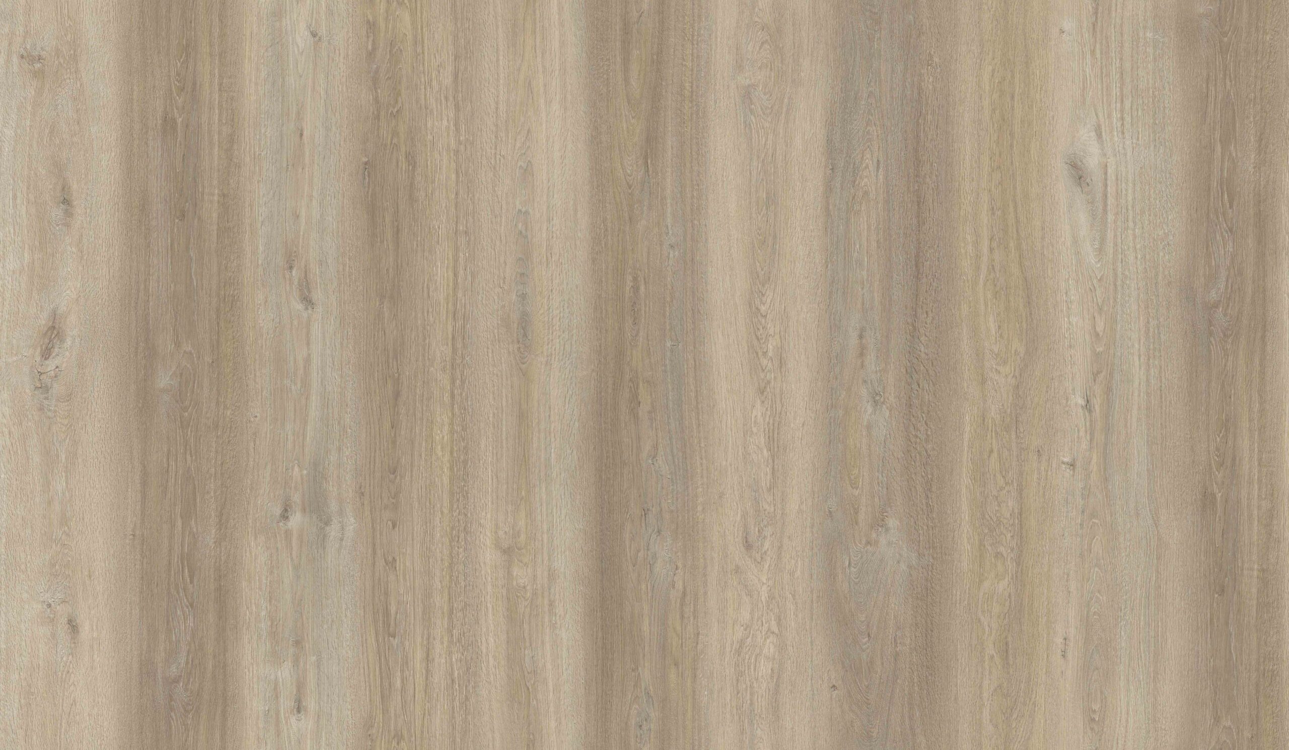 51596bf3120511e980c300155d00010c-b3b12617864211e9baa6ac1f6b776561